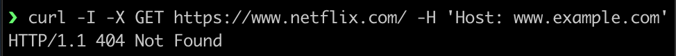 Netflix 404s